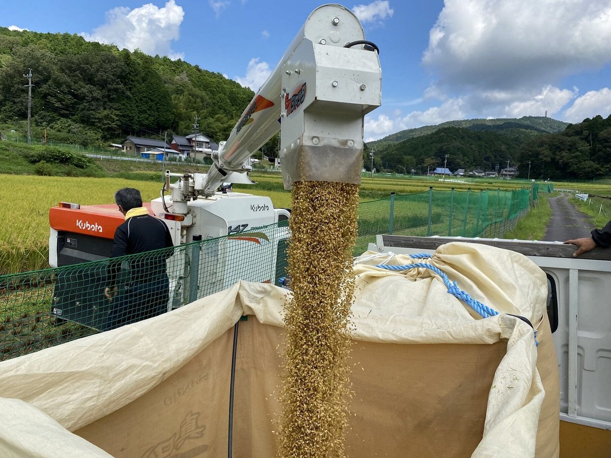 令和7年産米】山間ミネアサヒ 3kg | MEKIKI