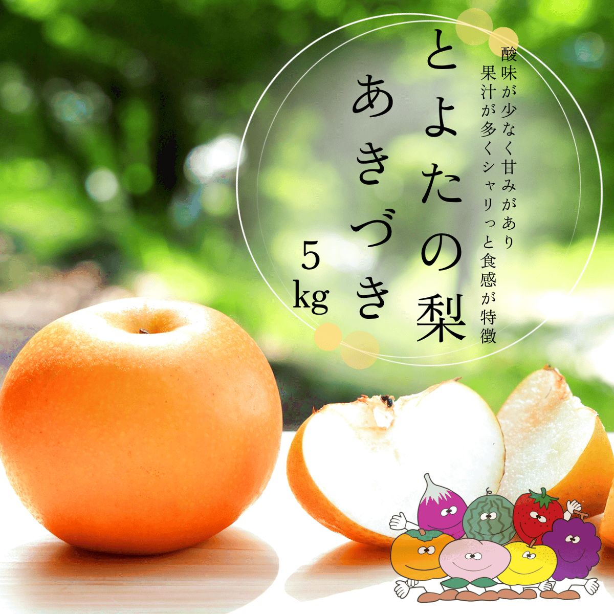 数量限定】とよたの梨約5kg あきづき(10玉～14玉）／9月上旬
