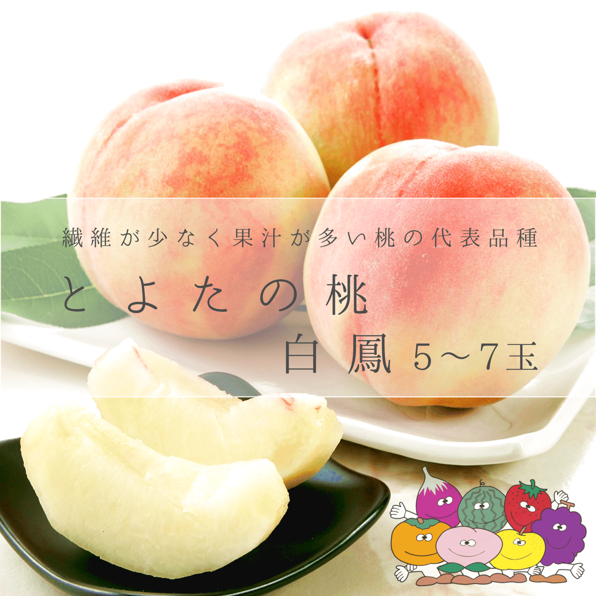 送料込】とよたの桃・白鳳5～7玉入(玉数指定できません)／7月中旬～7
