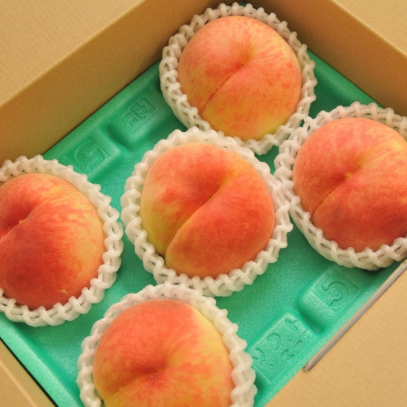 赤秀)とよたの桃・川中島白桃【送料込】5～7玉入(玉数指定できません