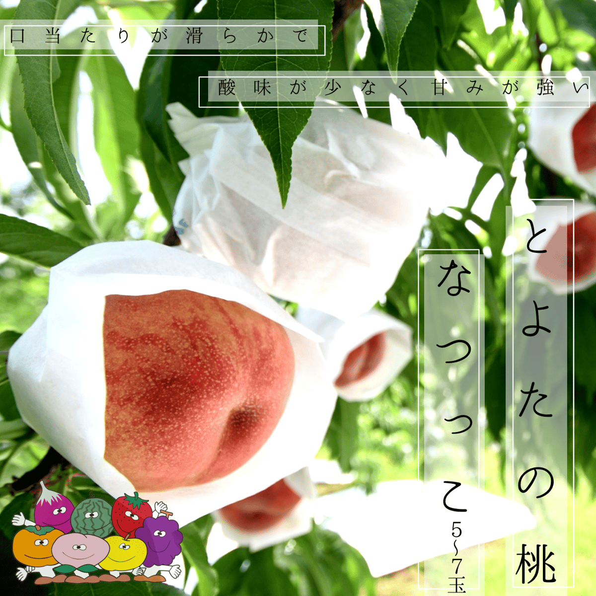 赤秀)とよたの桃・なつっこ【送料込】5～7玉入(玉数指定できません)／7