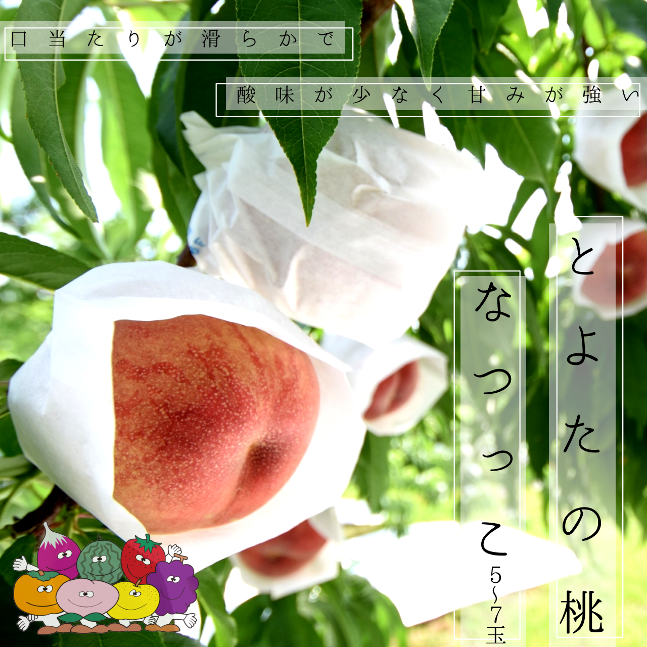 あ*と様 なつっこ　最終収穫分　7玉から10玉　箱入り２.7キロ前後 赤秀)とよたの桃・なつっこ【送料込】5～7玉入(玉数指定できません)／7