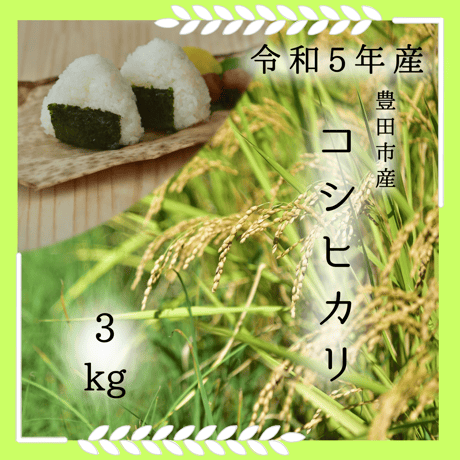 【令和５年産米】豊田市産 コシヒカリ 3kg
