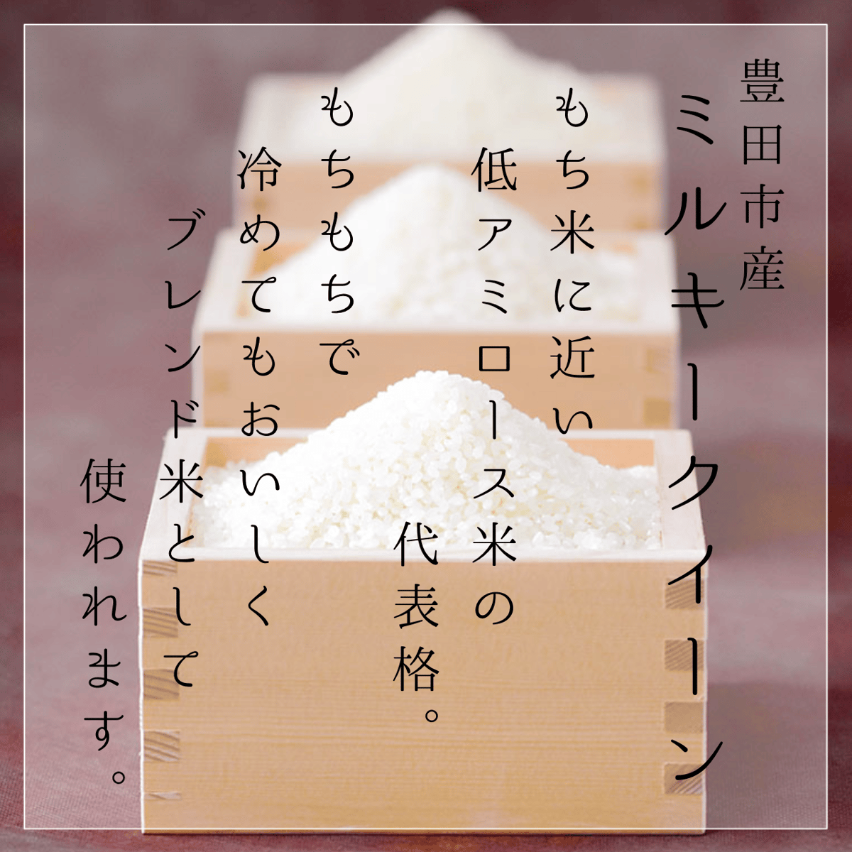 令和7年産米】豊田市産 ミルキークイーン 5kg | MEKIKI