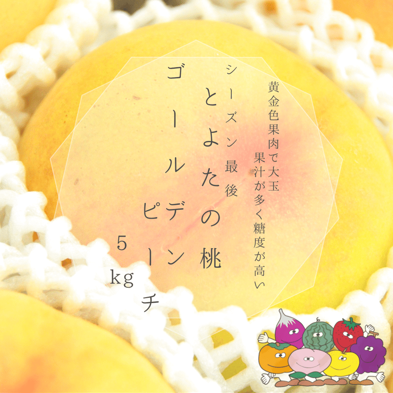 赤秀)とよたの桃約5kg ゴールデンピーチ（13玉～16玉）／9月上旬～9月