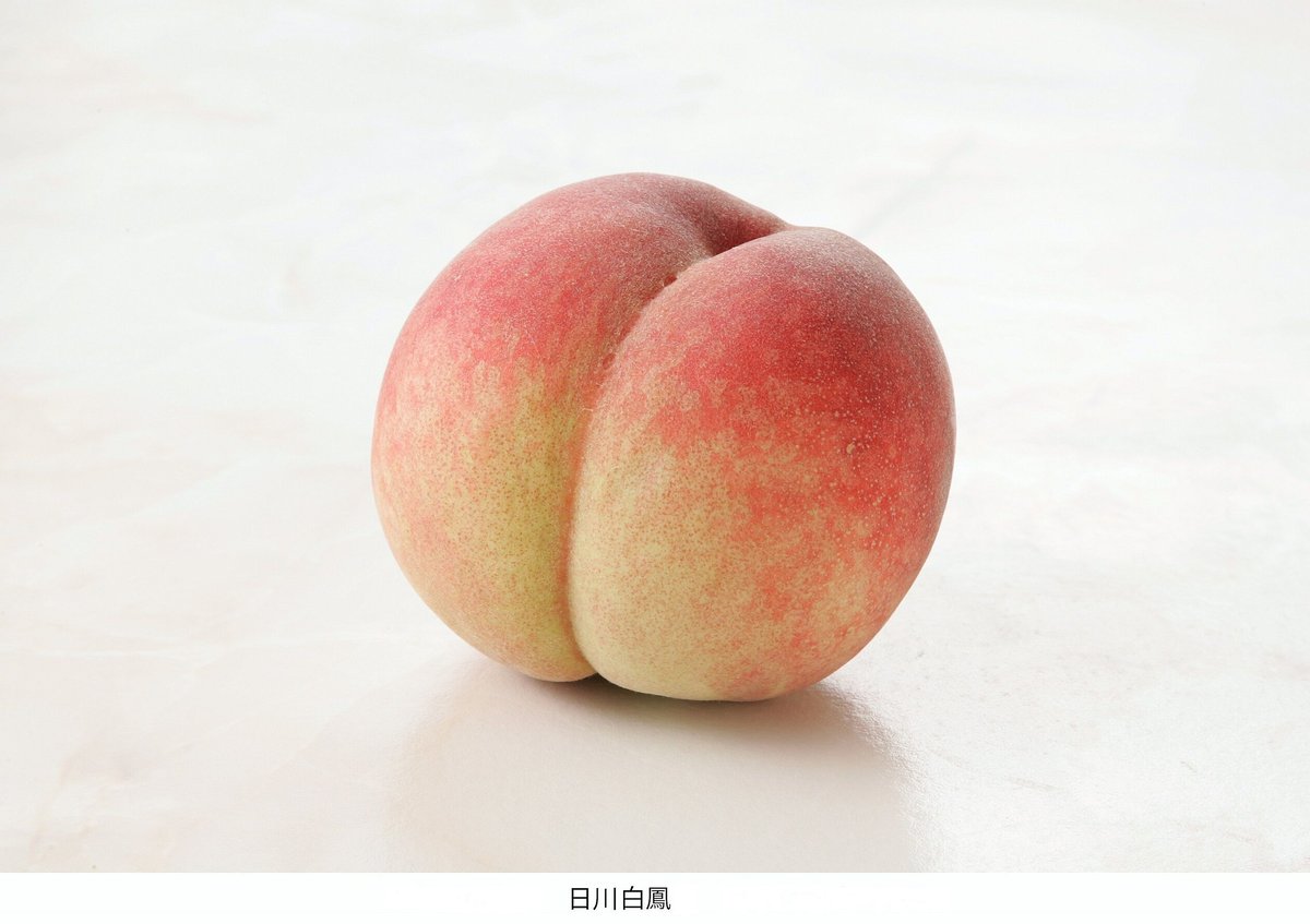 赤秀)とよたの桃約5kg 日川白鳳（18玉～22玉）／6月下旬～7月上旬発送
