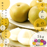 (赤秀)とよたの梨約5kg　幸水（12玉～16玉）／8月上旬～8月中旬発送