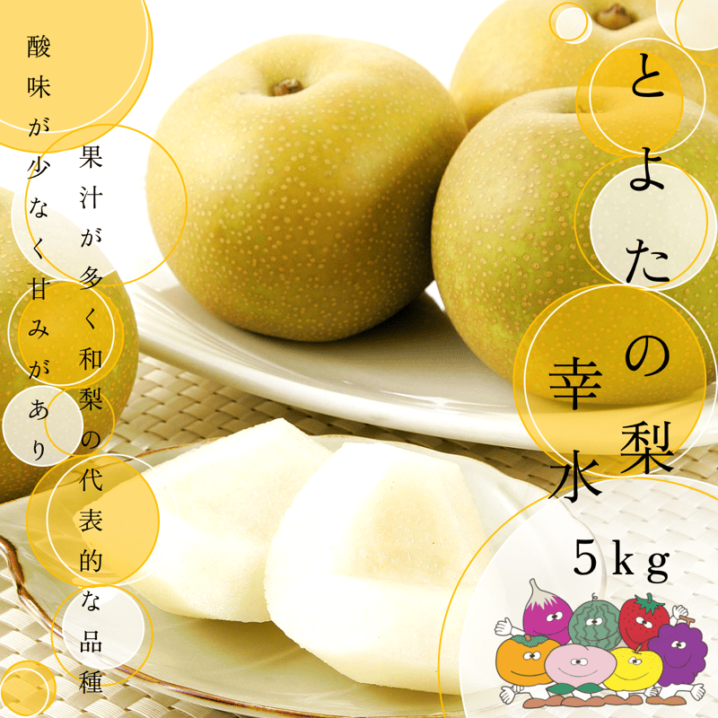 数量限定】とよたの梨約5kg 幸水（12玉～16玉）／8月上旬～8月中旬発送