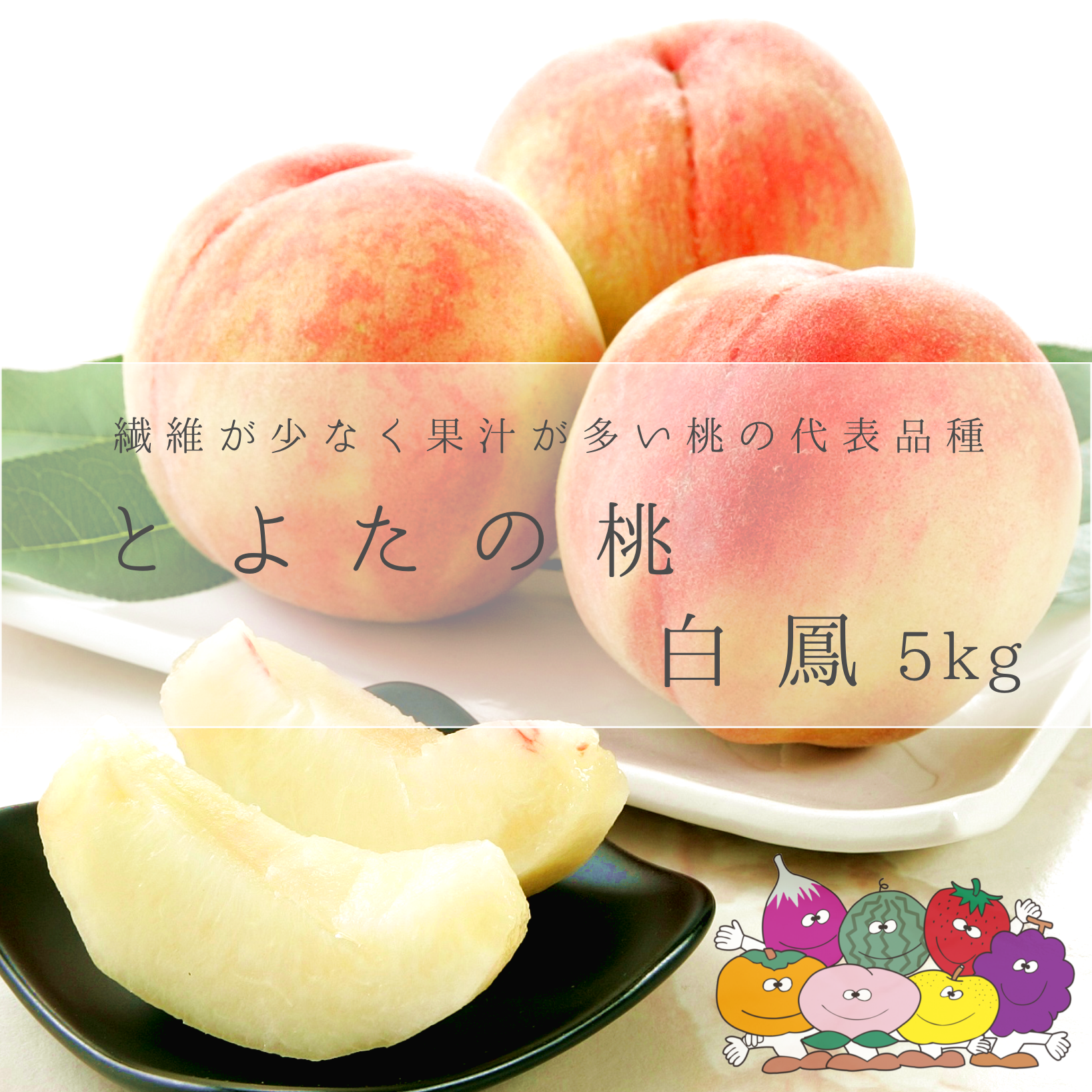 明日の午前中受け取り可能な方でお願いします！ 家庭用　15玉　5kg 白鳳 赤秀)とよたの桃約5kg 白鳳(15玉～18玉）／7月中旬～7月下旬発送 | MEKIKI