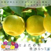 (赤秀)とよたの梨・豊水【送料込】5～7玉入(玉数指定できません)／9月上旬～9月下旬発送