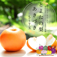 赤秀)とよたの梨約5kg 幸水（12玉～16玉）／8月上旬～8月中旬発送 | MEKIKI