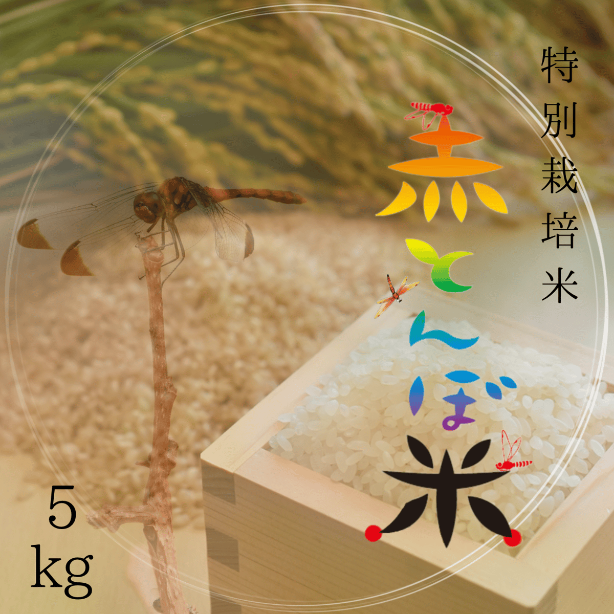 令和6年産米】赤とんぼ米/特別栽培米(ミネアサヒ)5Kg | MEKIKI 令和6年産米】赤とんぼ米/特別栽培米(ミネアサヒ)5Kg | MEKIKI
