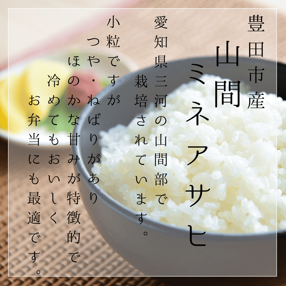 令和7年産米】山間ミネアサヒ 5kg | MEKIKI