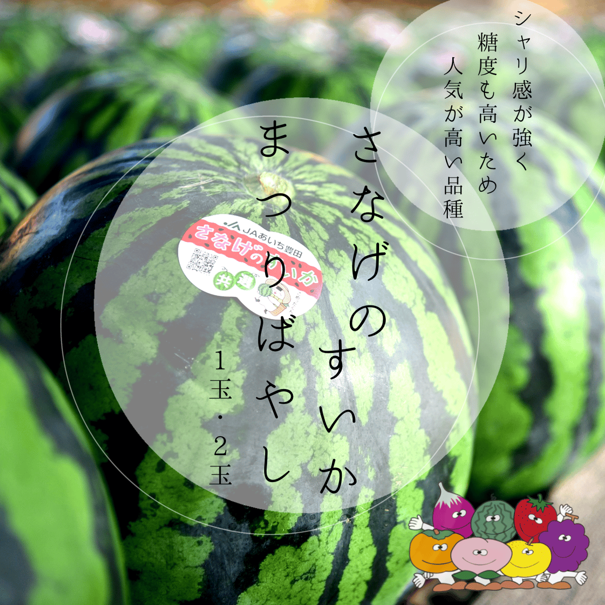 最大10%OFFクーポン de 値下げ maison sabre 日本公式サイト | SABRÉ