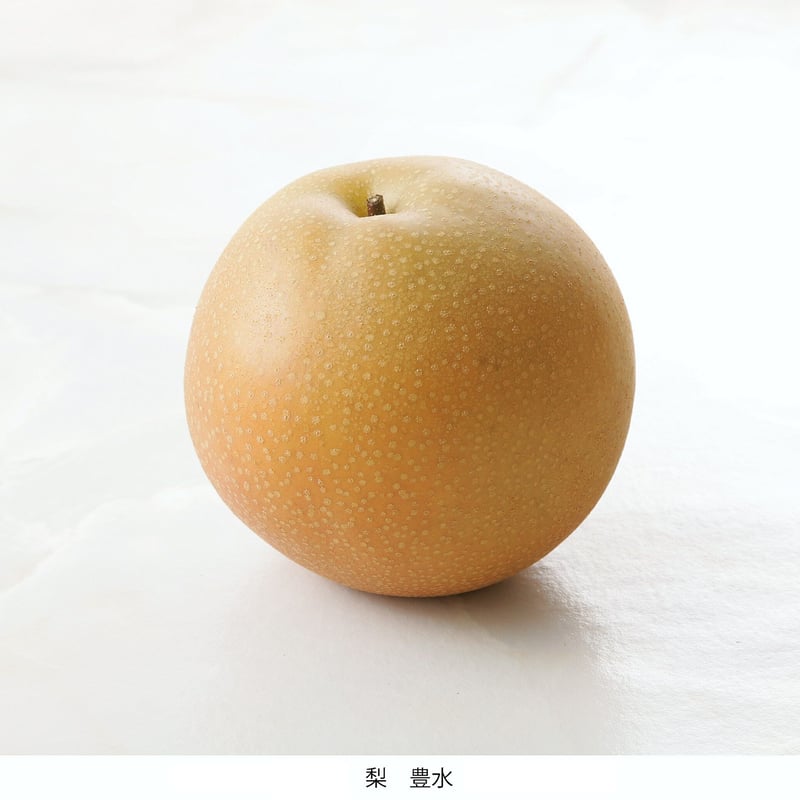 赤秀)とよたの梨約5kg 豊水(12玉～16玉）／9月上旬～9月下旬発送 | MEKIKI