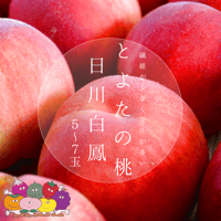 (赤秀)とよたの桃・日川白鳳【送料込】5～7玉入(玉数指定できません)／6月下旬～7月上旬発送