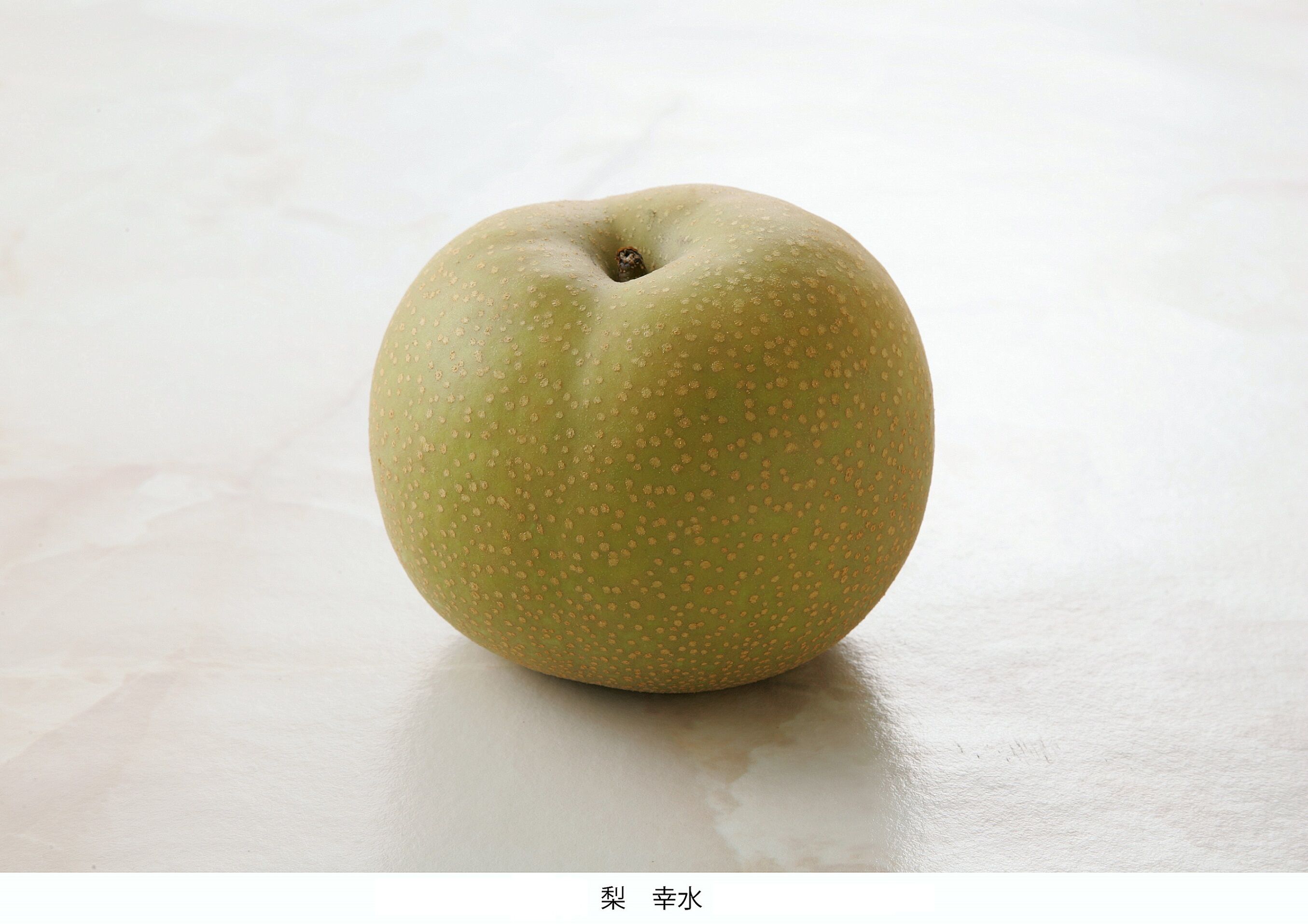 赤秀)とよたの梨約5kg 幸水（12玉～16玉）／8月上旬～8月中旬発送 | MEKIKI