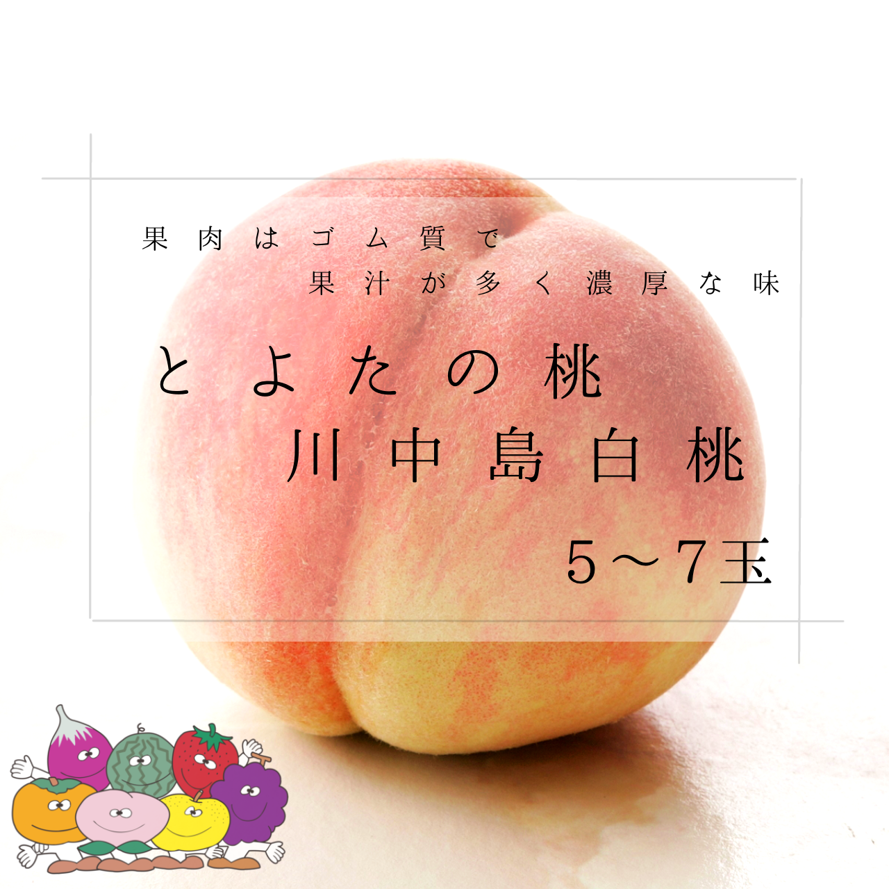赤秀)とよたの桃・川中島白桃【送料込】5～7玉入(玉数指定できません