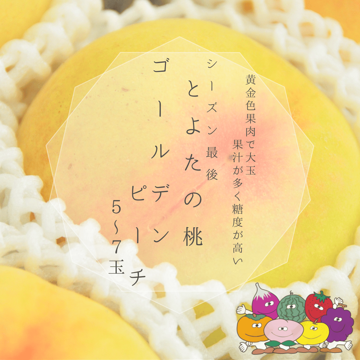 赤秀)とよたの桃・ゴールデンピーチ【送料込】5～7玉入(玉数指定 