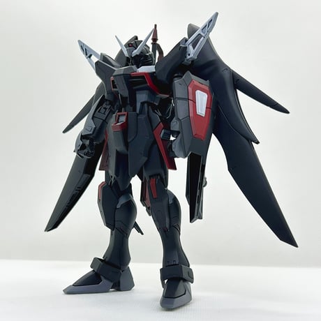 MG デスティニーガンダム ガンダムSEED DESTINY ガンプラEXPO 2007 BANDAI MG 1/100