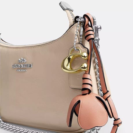 🎀コーチ COACH　テリ ミニ クロスボディ バッグ・チャーム　 CDW67 SV/IY