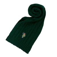 ユーエスポロ アッスン U.S.POLO ASSN マフラー 447312-GREEN レディース メンズ グリーン マフラー