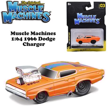 musclemachines | STORES