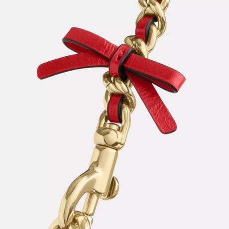 🎀コーチ COACH　テリ ミニ クロスボディ バッグ・ボウ　CDW68 IMCNT