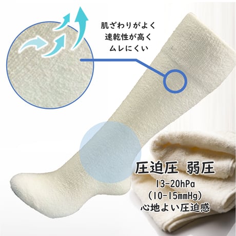 たぴぽライト