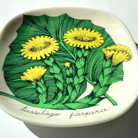 ARABIA エステリトムラ Botanica Tussilago farfara フキタンポポ