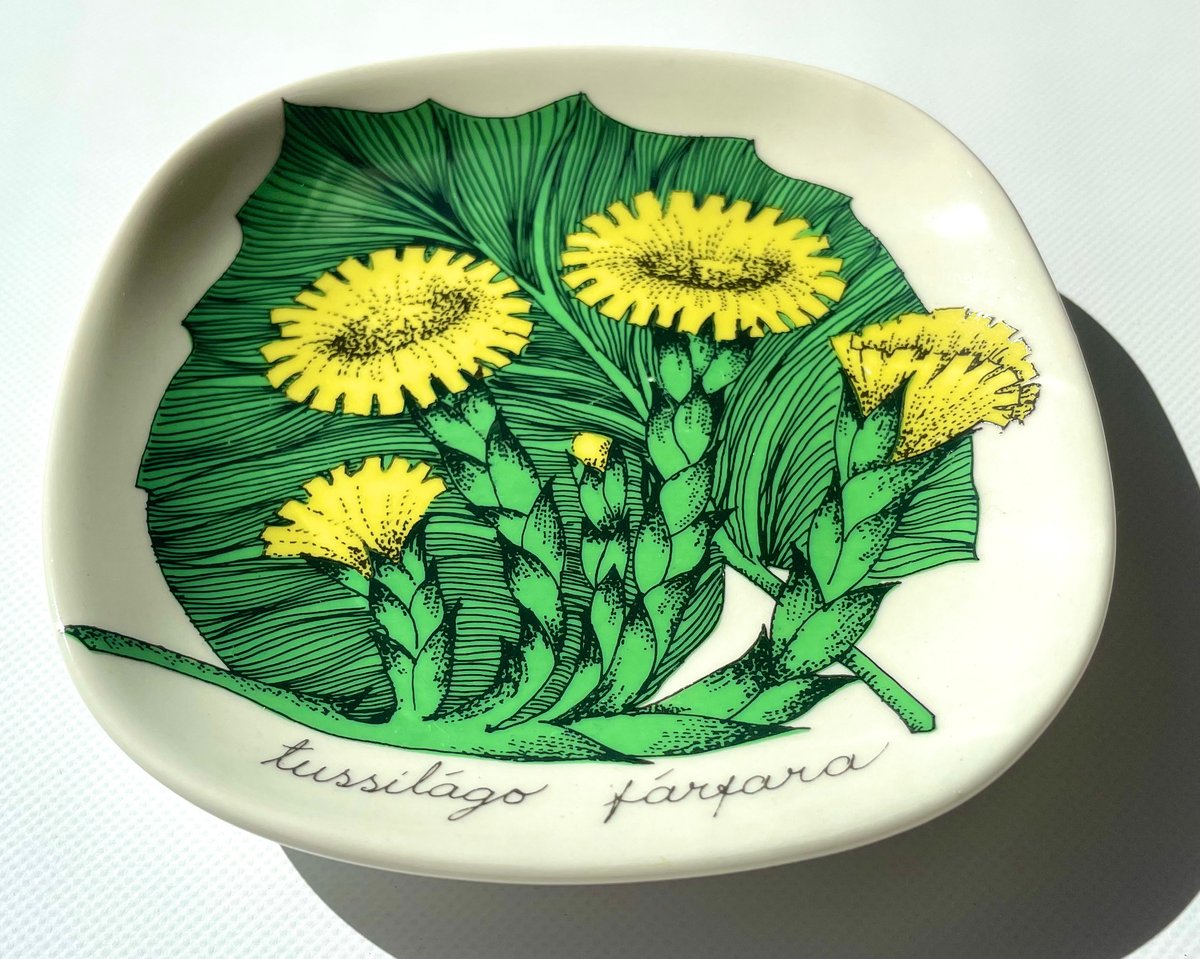 ARABIA エステリトムラ Botanica Tussilago farfara フキタンポ