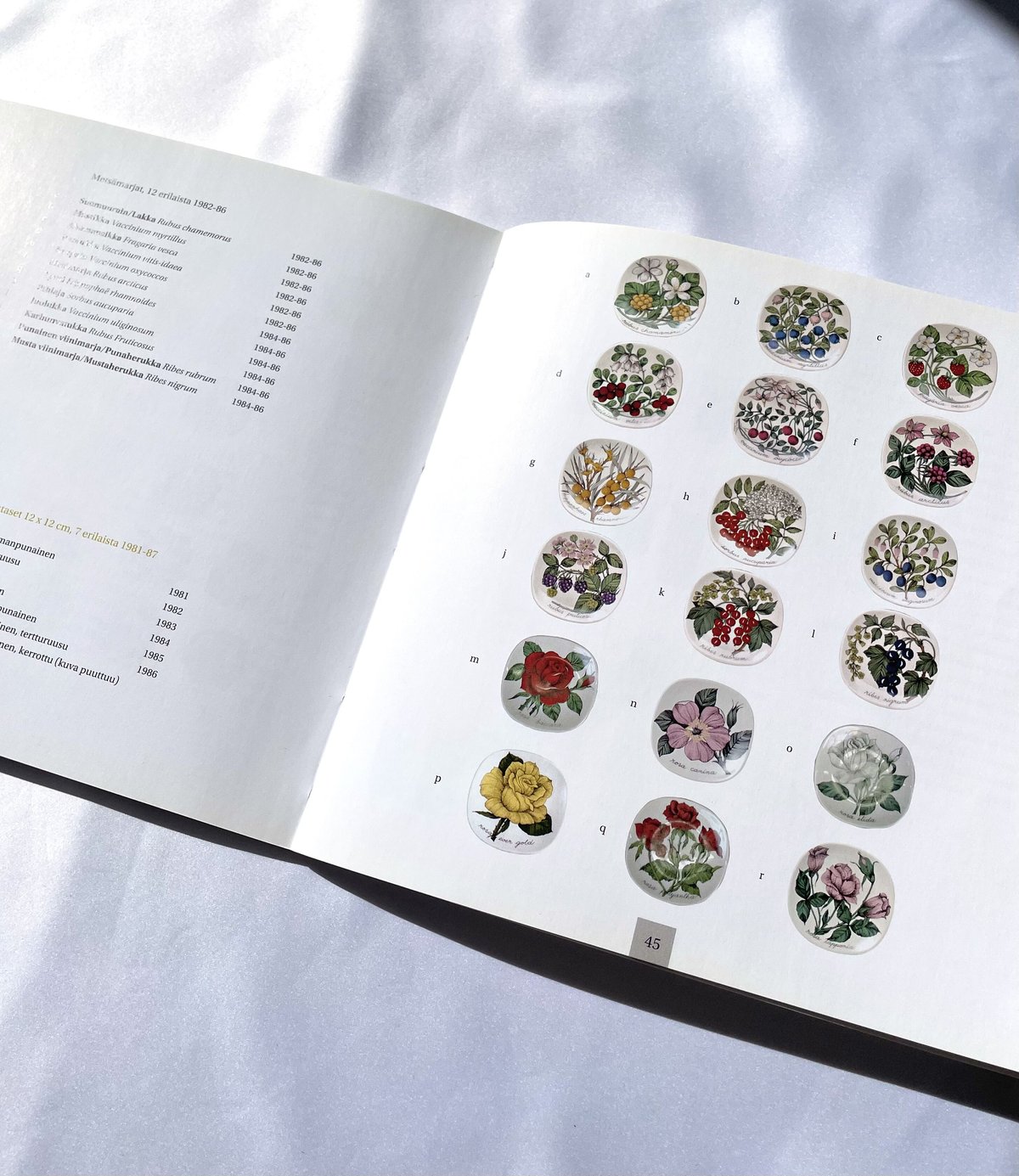 ARABIA - Esteri Tomula エステリ・トムラ 図録 / 作品集 ARABIA Esteri Tomula展 図録 エステリ・トムラ 本 未使用品 送料込