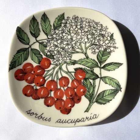 ARABIA エステリトムラ Botanica セイヨウナナカマド sorbus aucuparia