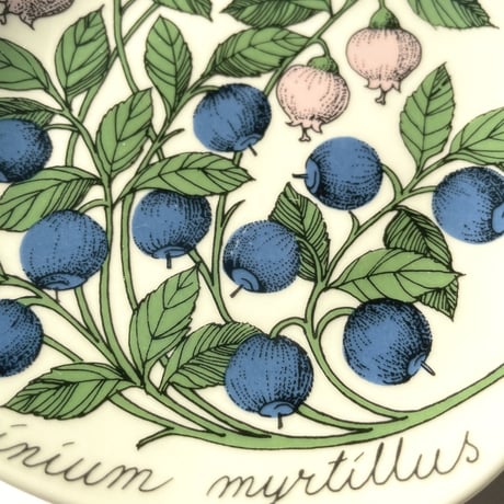 ARABIA エステリトムラ Botanica vaccinium myrtillus ビルベリー