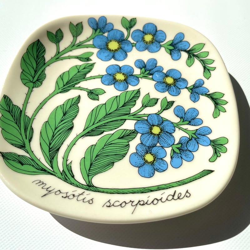 アラビア ボタニカ プレート myosotis scorpioides 勿忘草