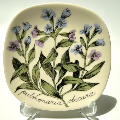 ARABIA エステリトムラ Botanica pulmonaria obscura プルモナリア