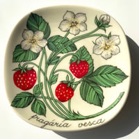 ARABIA エステリトムラ Botanica Fragaria vesca 野いちご