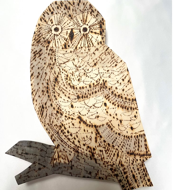 マッティピックヤムサ 新品 プライウッド 壁掛け フクロウ 送料込