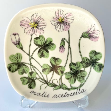 ARABIA エステリトムラ Botanica Oxalis acetosella コミヤマカタバミ