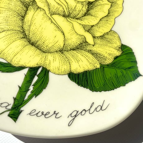 ARABIA エステリトムラ Botanica Rosa Ever Gold 黄色いバラ