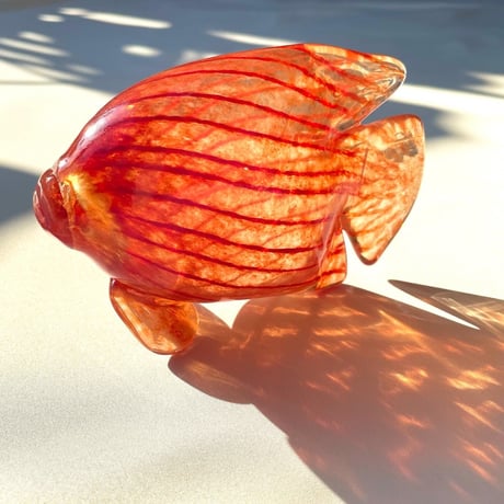 Nuutajarvi Kerttu Nurminen TROPICAL FISHES オレンジの魚