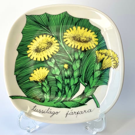 ARABIA エステリトムラ Botanica Tussilago farfara フキタンポポ