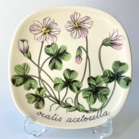 ARABIA エステリトムラ Botanica Oxalis acetosella コミヤマカタバミ