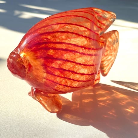 Nuutajarvi Kerttu Nurminen TROPICAL FISHES オレンジの魚