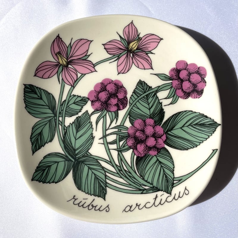 ARABIA エステリ・トムラ ボタニカ 