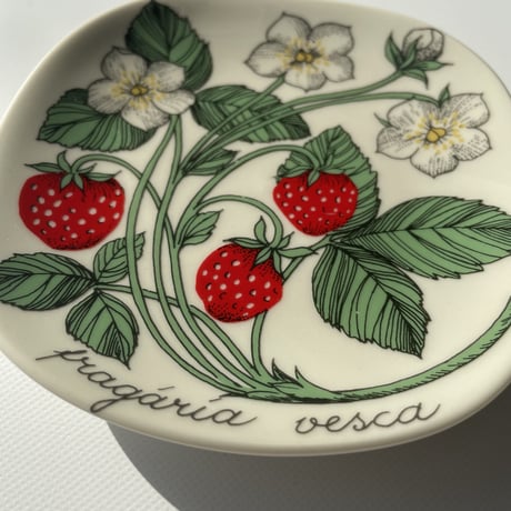 ARABIA エステリトムラ Botanica Fragaria vesca 野いちご