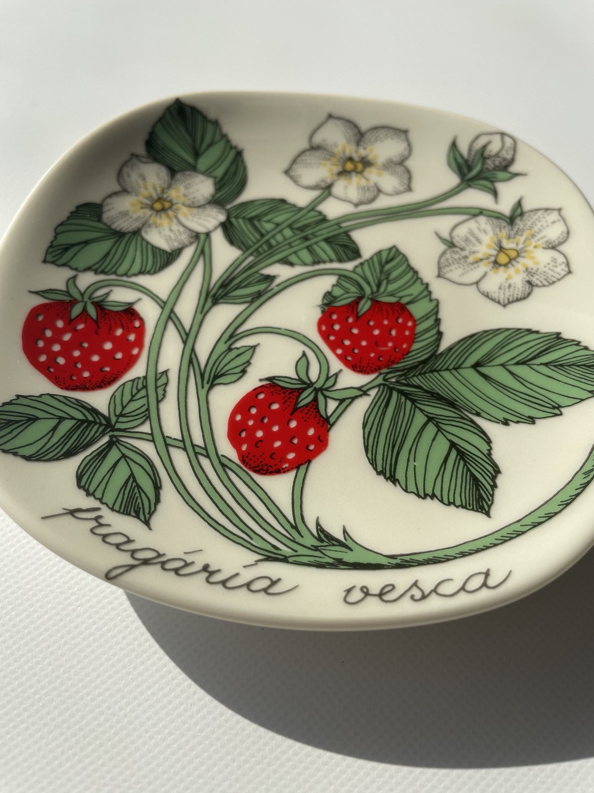 アラビア ボタニカ 野イチゴ プレート ARABIA Botanica