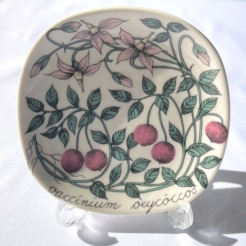 ARABIA エステリトムラ Botanica ツルコケモモ Vaccinium oxycoc