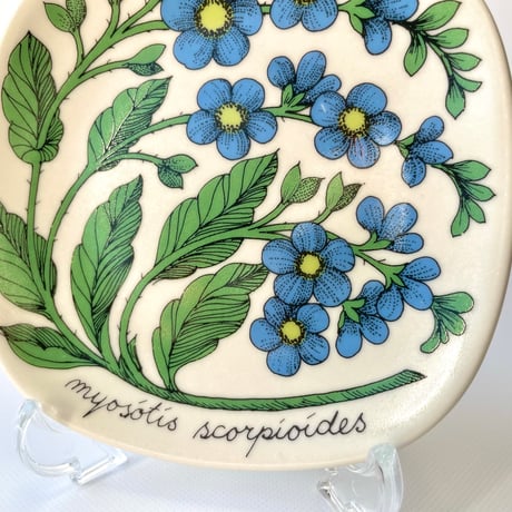 ARABIA エステリトムラ Botanica Myosotis scorpioides ワスレナグサ