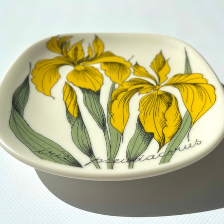 ARABIA エステリトムラ Botanica Iris pseudacorus キショウブ